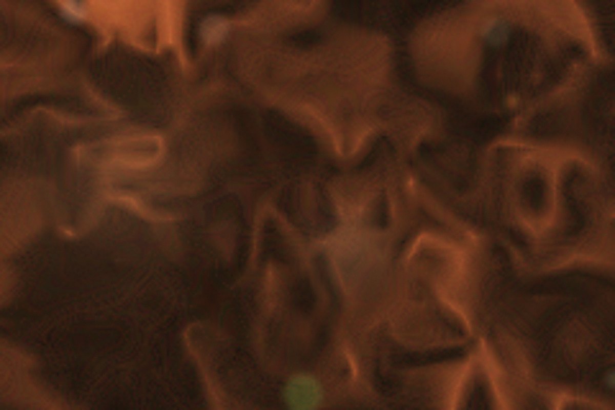 Marea detail 01