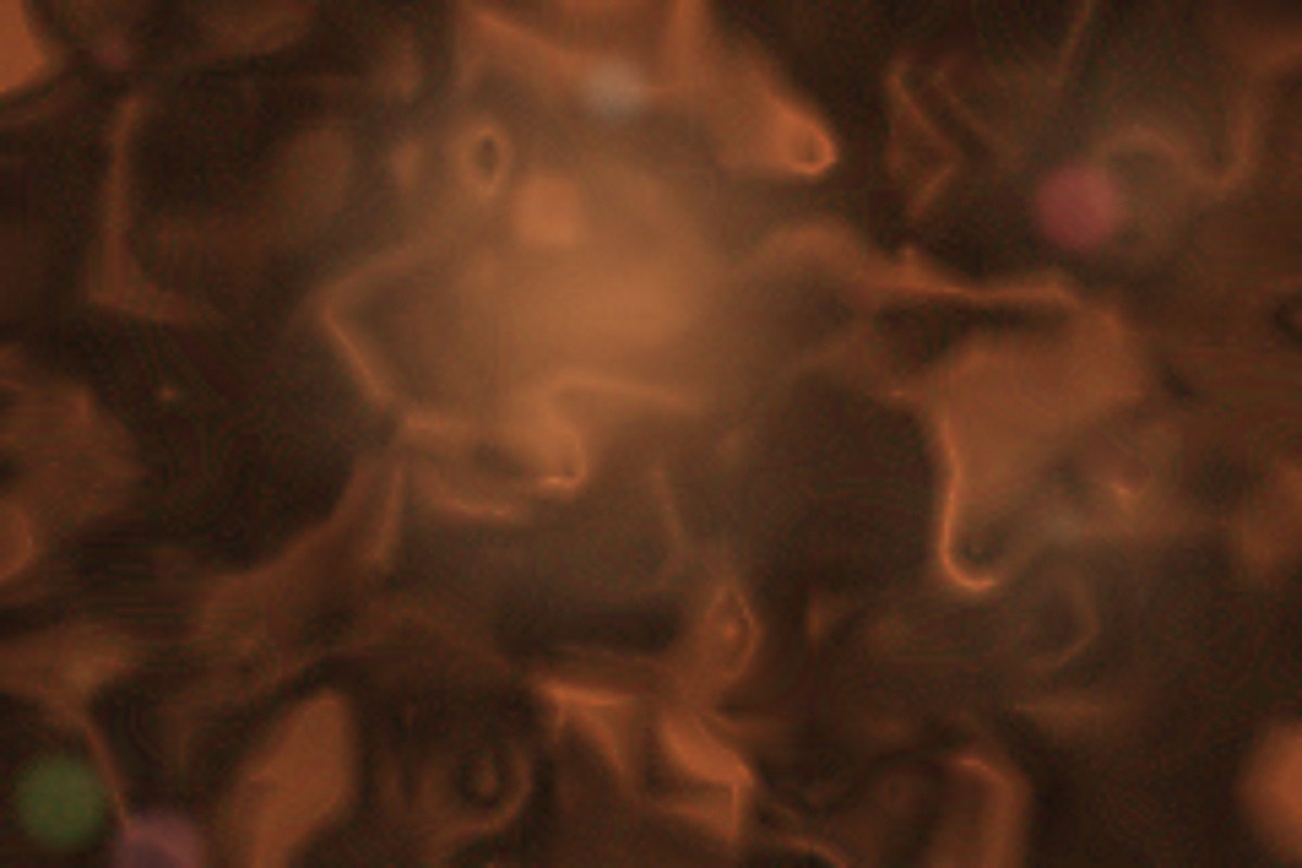 Marea detail 03