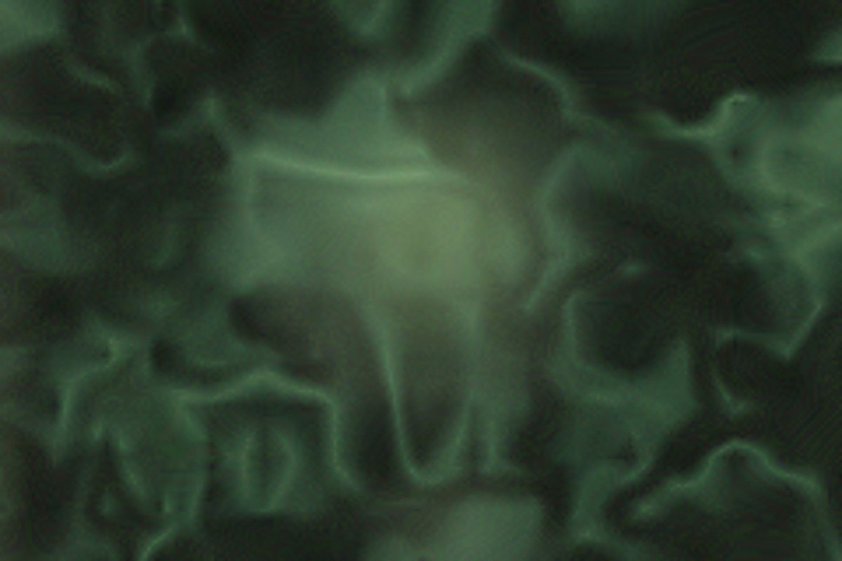 EON detail 03